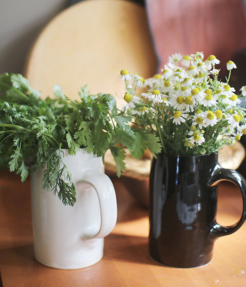 Ceramic Pitcher {Black}