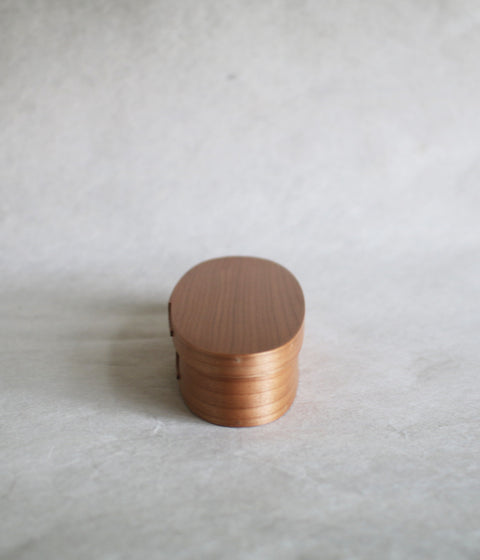 IFUJI Pen Case