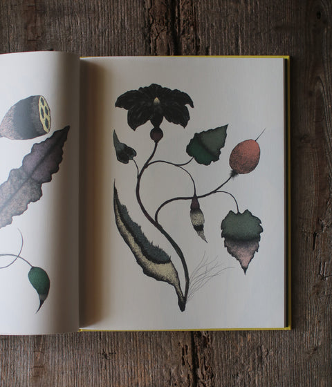 Kentaro Tanaka Art Book "Träumerei"