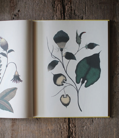 Kentaro Tanaka Art Book "Träumerei"