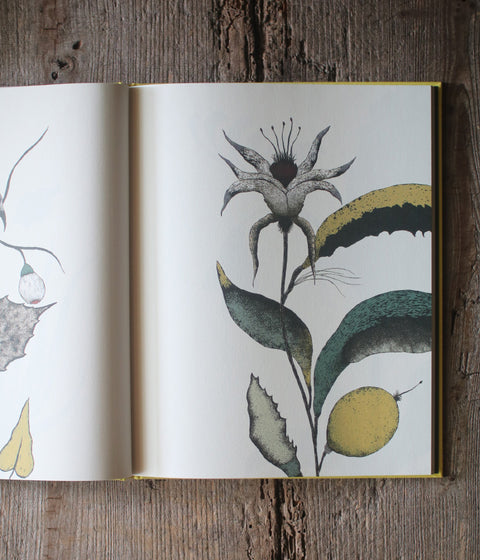 Kentaro Tanaka Art Book "Träumerei"