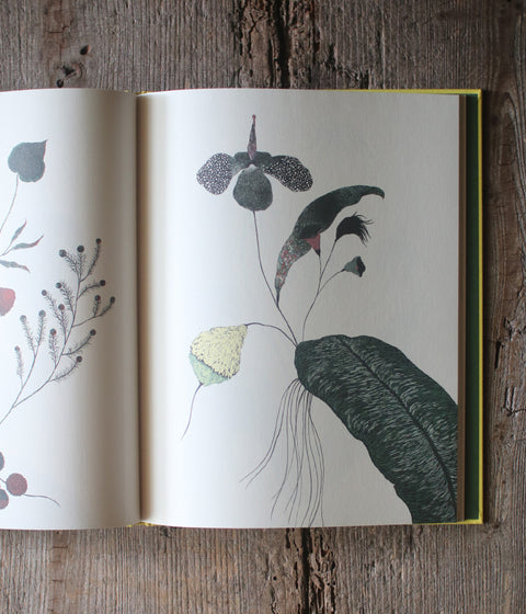 Kentaro Tanaka Art Book "Träumerei"