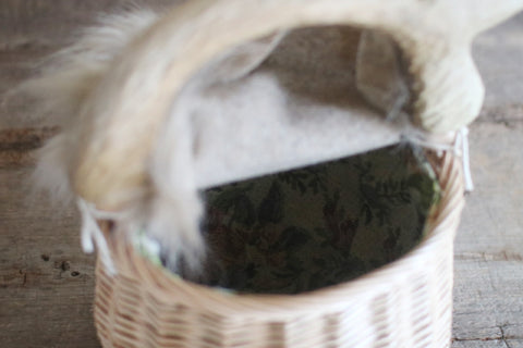 Capybara Basket