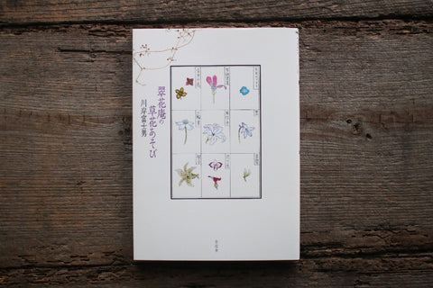 Fujio Kawagishi "Botanical Play"