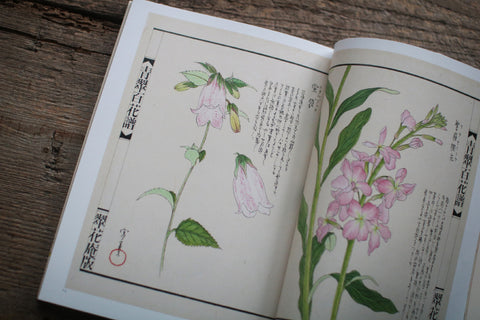 Fujio Kawagishi "Botanical Play"