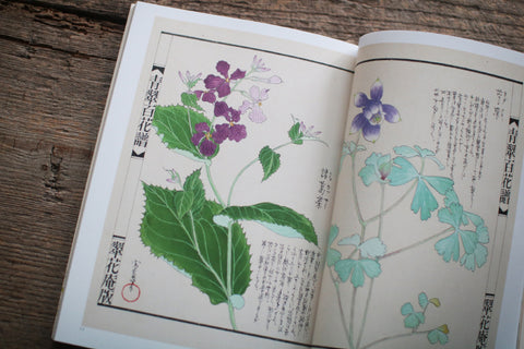 Fujio Kawagishi "Botanical Play"