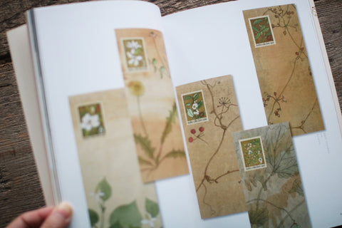 Fujio Kawagishi "Botanical Play"