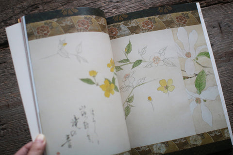 Fujio Kawagishi "Botanical Play"