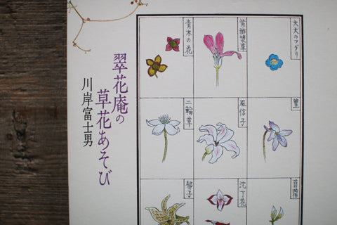 Fujio Kawagishi "Botanical Play"