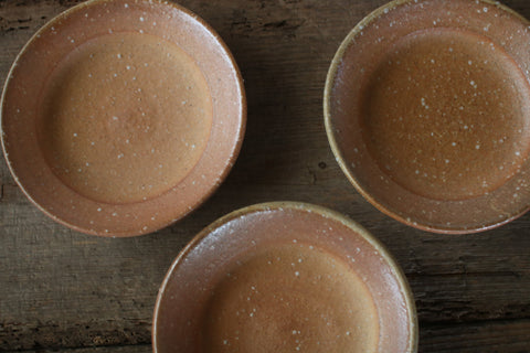 Noborigama-fired Shallow Bowl