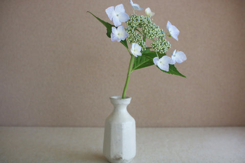 Faceted Kohiki Bottle Vase (White)