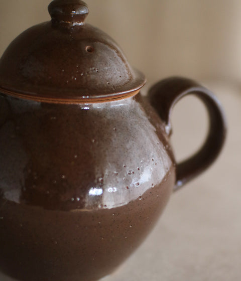 Brown Ceramic Tea Pot