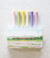 Japanese Colour Candles {Spring} (15% OFF)