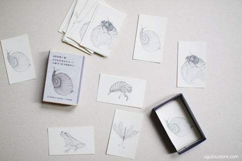 Little Creatures Mini Cards in Match Box