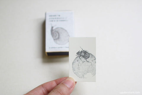 Little Creatures Mini Cards in Match Box