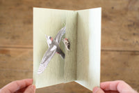 Tobidustry Pop-Up Bird Card {Woodpecker}