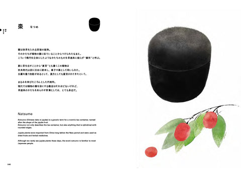 The Name of Shapes
