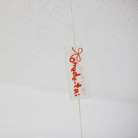 Japanese Paper Balloon {Congrats Sea Bream}
