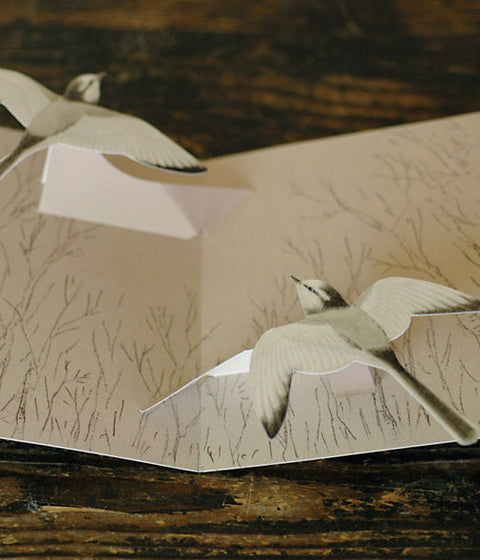 Tobidustry Pop-Up Bird Card {White Wagtail}