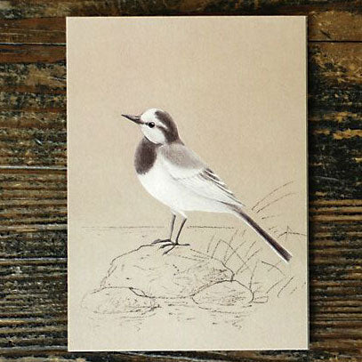 Tobidustry Pop-Up Bird Card {White Wagtail}