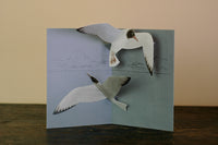 Tobidustry Pop-Up Bird Card {Black-Headed Gull}