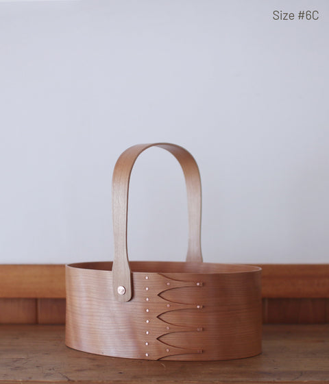 IFUJI Oval Carrier