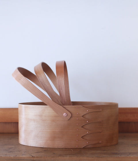 IFUJI Oval Carrier