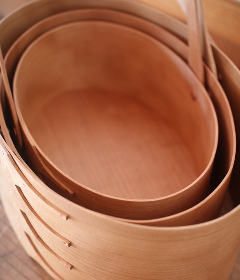 IFUJI Oval Carrier