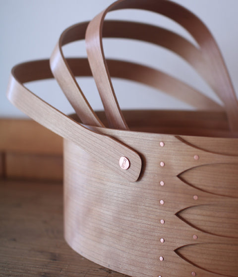 IFUJI Oval Carrier