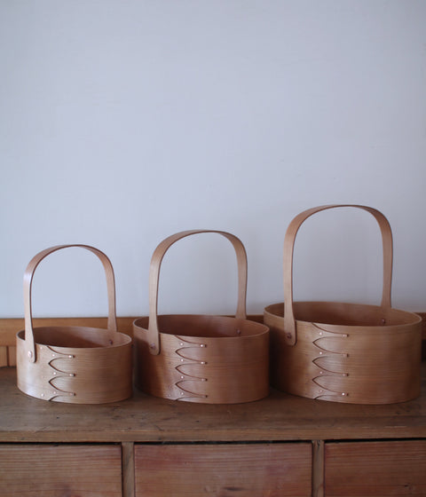 IFUJI Oval Carrier