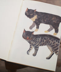 Iku Dekune Art Book “SABINKA A MAKULKA”