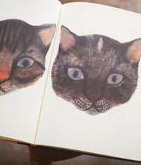 Iku Dekune Art Book “SABINKA A MAKULKA”