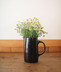 Ceramic Pitcher {Black}