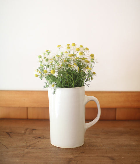 Ceramic Pitcher {White}
