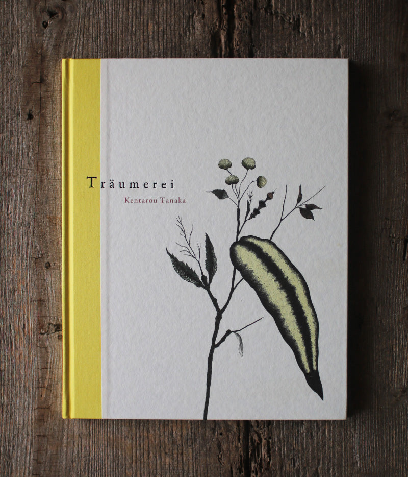 Kentaro Tanaka Art Book "Träumerei"