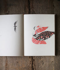 Sanae Sugimoto Art Book "Release the Stone" (Includes original artwork)