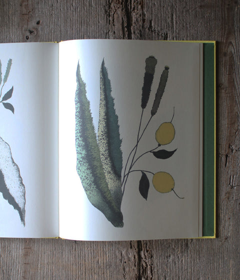 Kentaro Tanaka Art Book "Träumerei"