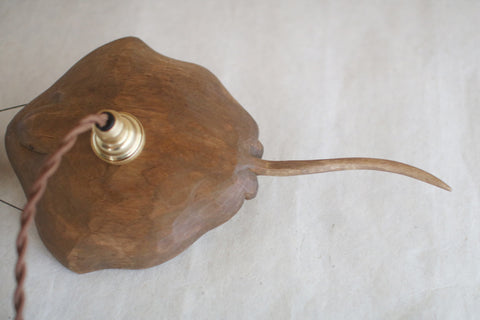 [PRE-ORDER] Ray Fish Airplane Lamp