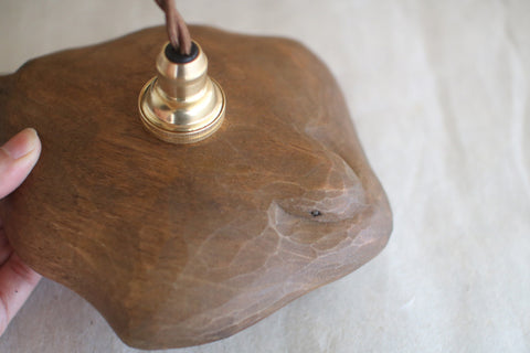 [PRE-ORDER] Ray Fish Airplane Lamp