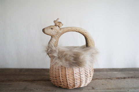 Capybara Basket