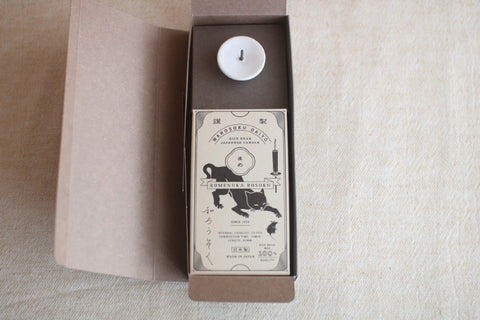 Daiyo Mini Rice Bran Wax Candles Gift Set (Holiday Ver.)