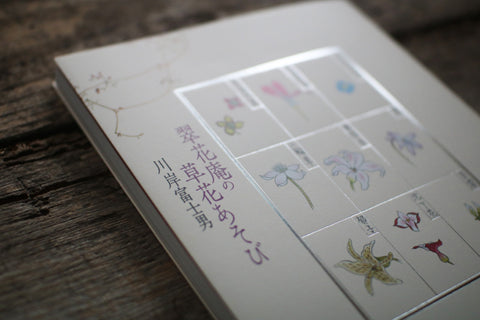 Fujio Kawagishi "Botanical Play"