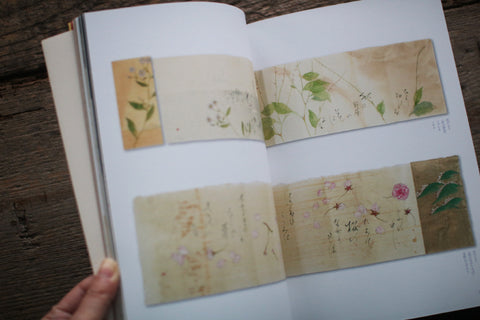 Fujio Kawagishi "Botanical Play"