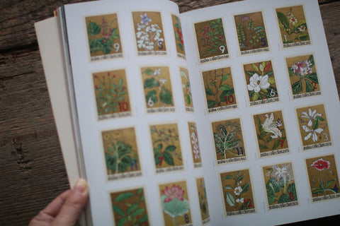 Fujio Kawagishi "Botanical Play"