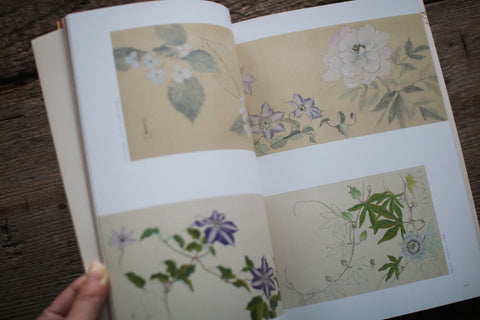 Fujio Kawagishi "Botanical Play"