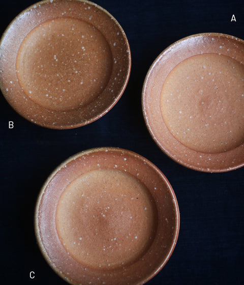 Noborigama-fired Shallow Bowl