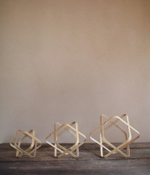 Bamboo Flower Vase (Frame)