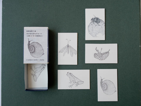 Little Creatures Mini Cards in Match Box