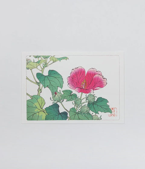 Shibata Zeshin "Hana-Kurabe" Post Card Set