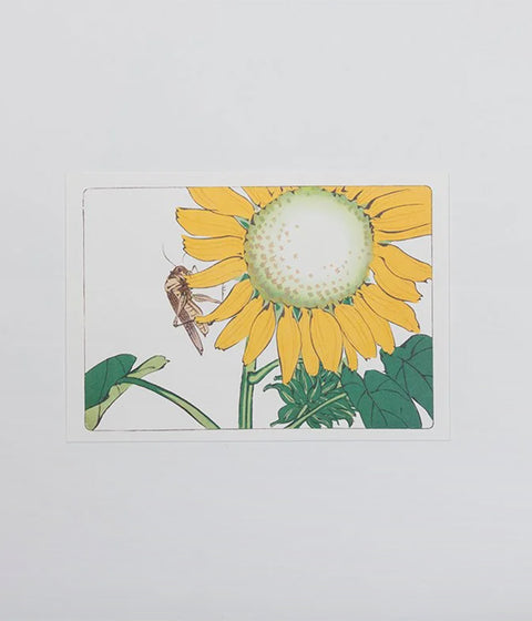 Shibata Zeshin "Hana-Kurabe" Post Card Set
